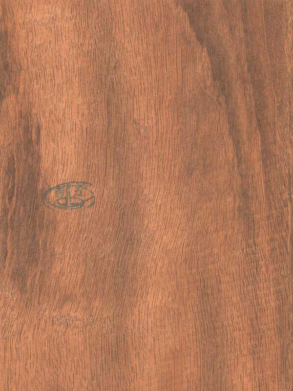 Tiger Floor No.20233