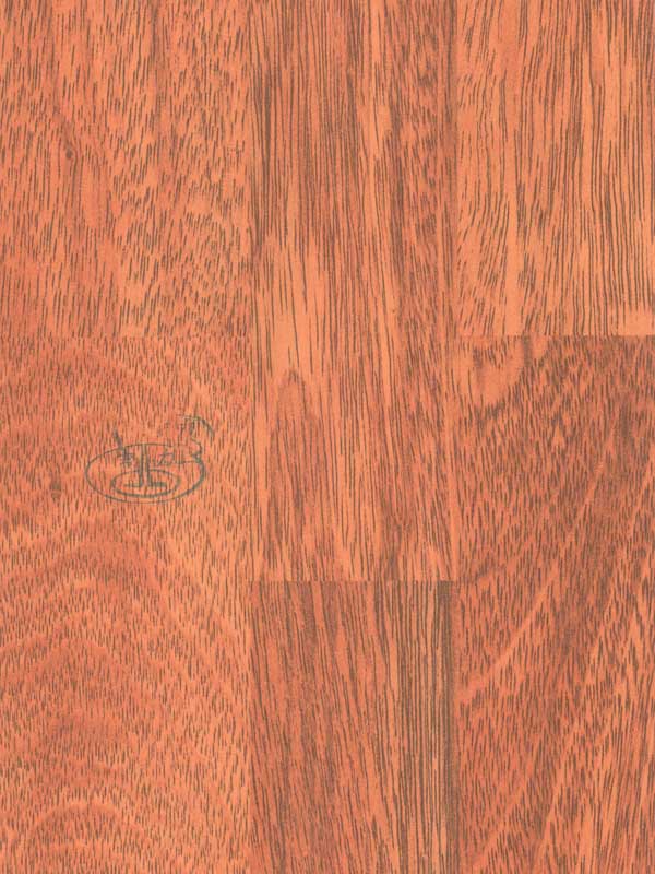 Tiger Floor No.50268