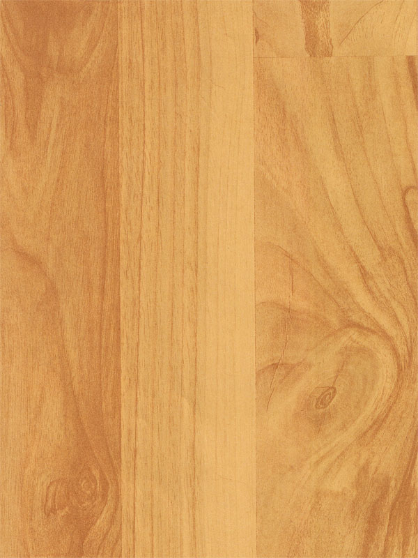 Tiger Floor No.6554