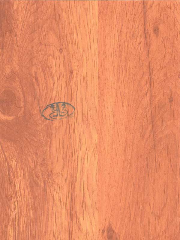 Tiger Floor No.9536