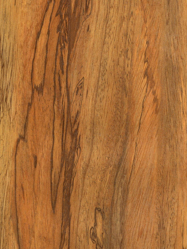 Tiger Floor No.H10527