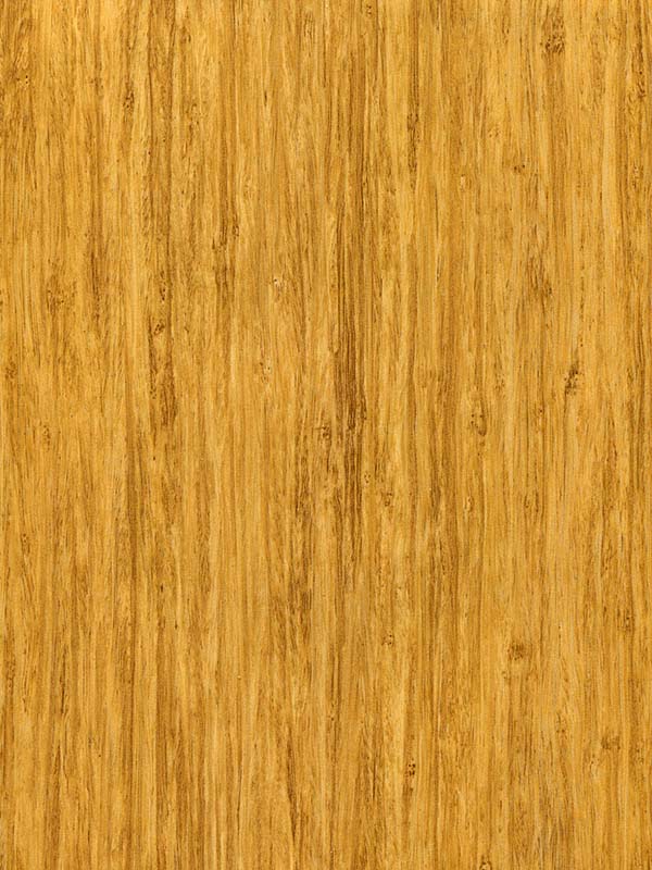 Tiger Floor No.H12807