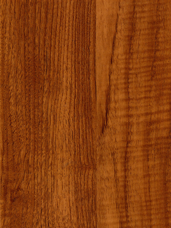 Tiger Floor No.H826-2